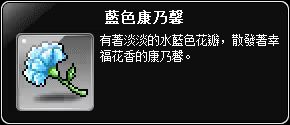 藍色康乃馨