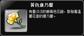 黃色康乃馨