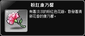 紅色康乃馨