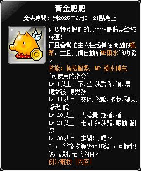 黃金肥肥